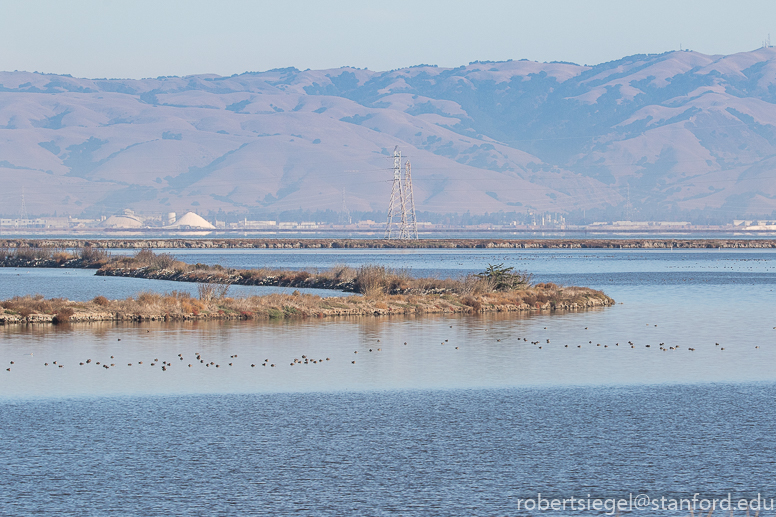 shoreline park